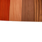 Imported Exotic Hardwood Variety Pack - Zebrawood, Walnut, Padauk, Okoume - 3/4" x 6" (4 Pcs)